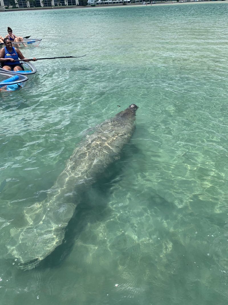 a man riding on the back of a boat in the water