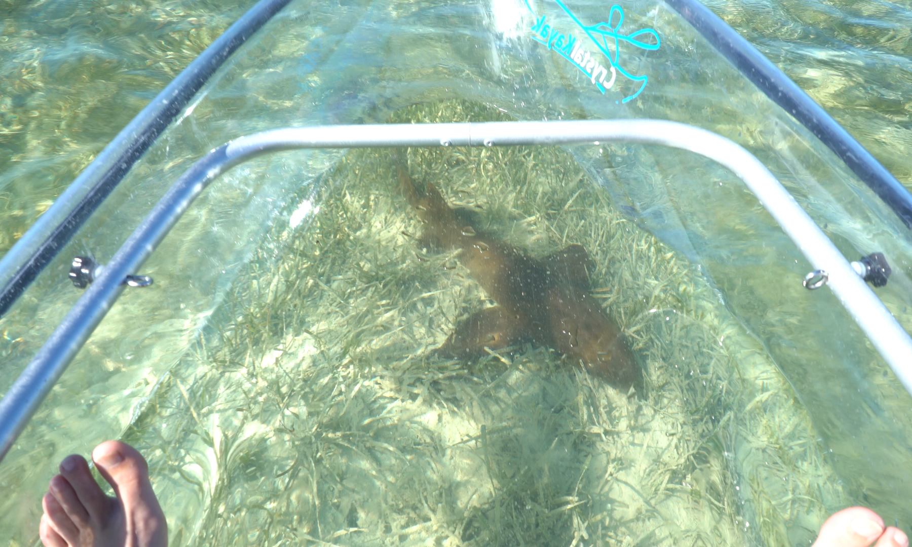 a person swimming in a pool of water