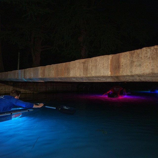 a group of people swimming in the water