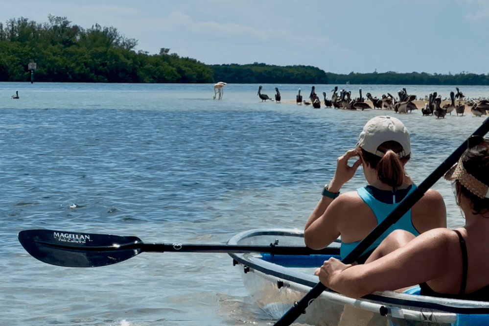 a group of people rowing a boat in a body of water