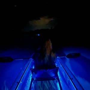 a close up of a light pole sitting in the dark