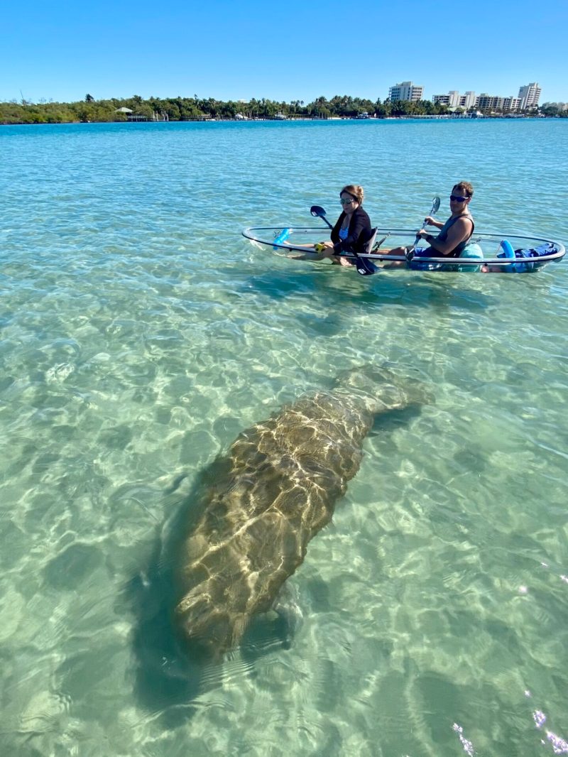 a man swimming in a body of water