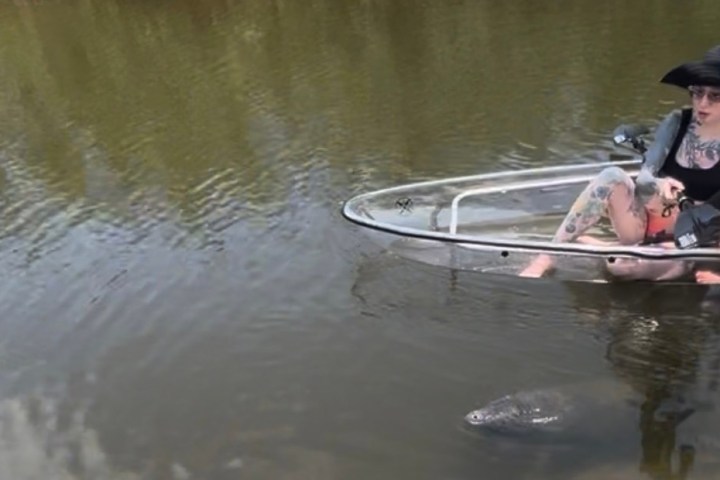 a person rowing a boat in the water