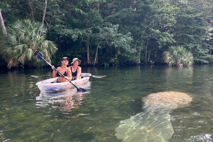 a person riding on the back of a boat next to a lake