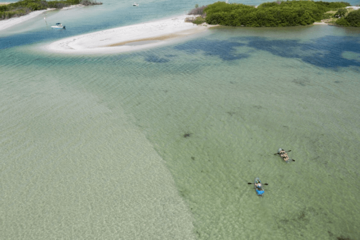 a group of people on a beach near a body of water