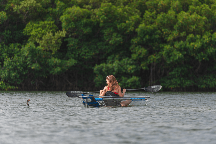 a group of people rowing a boat in a body of water