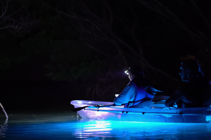 a small boat in a body of water