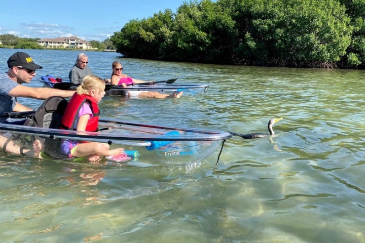 a group of people rowing a boat in the water