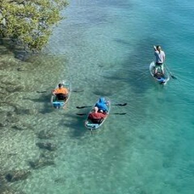 a group of people swimming in a body of water