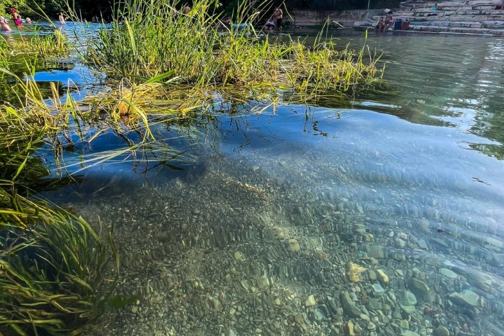 a body of water surrounded by trees