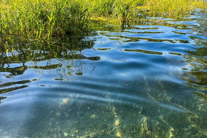 a body of water surrounded by trees