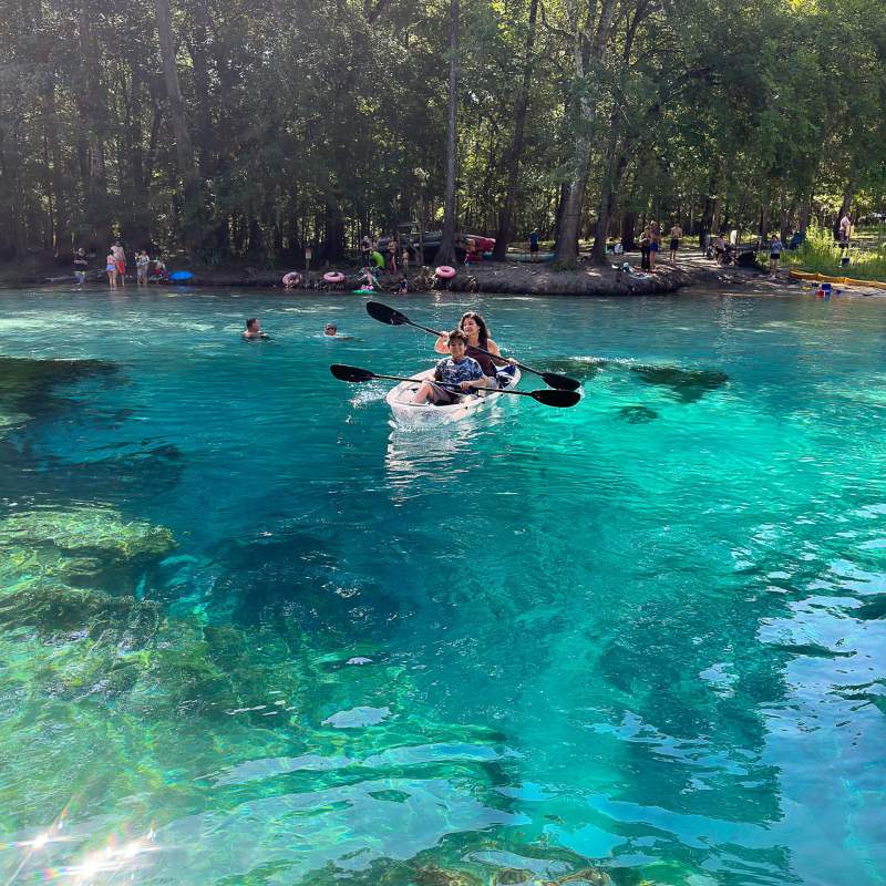 a group of people swimming in a pool of water