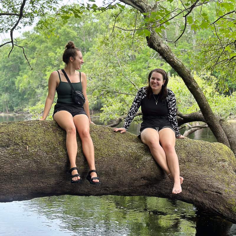 a woman sitting on a rock next to a tree