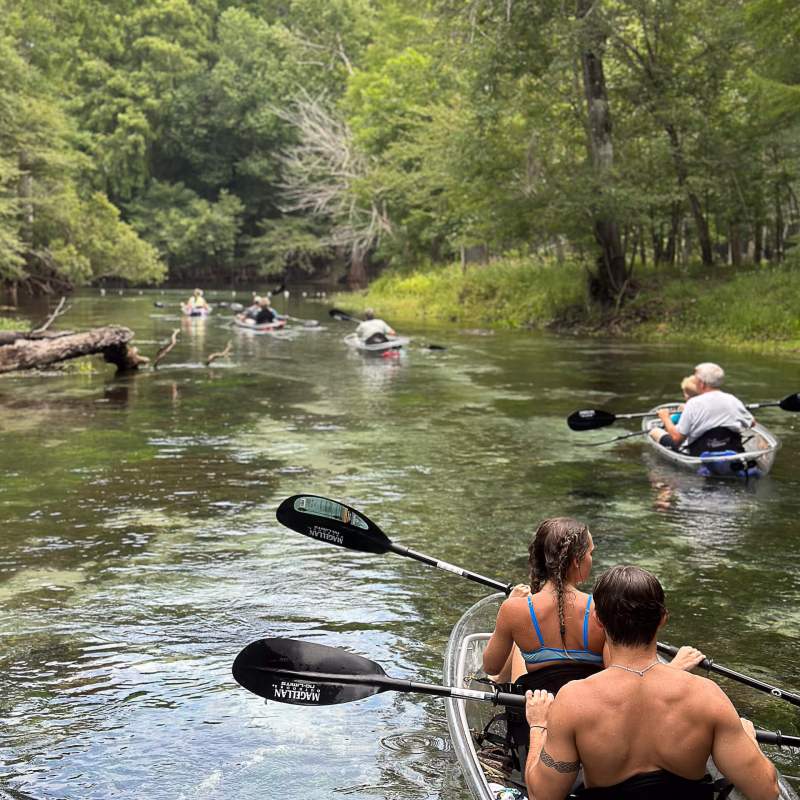 a group of people swimming in a body of water