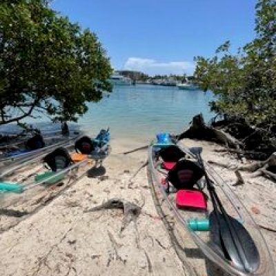 a boat sitting on top of a sandy beach