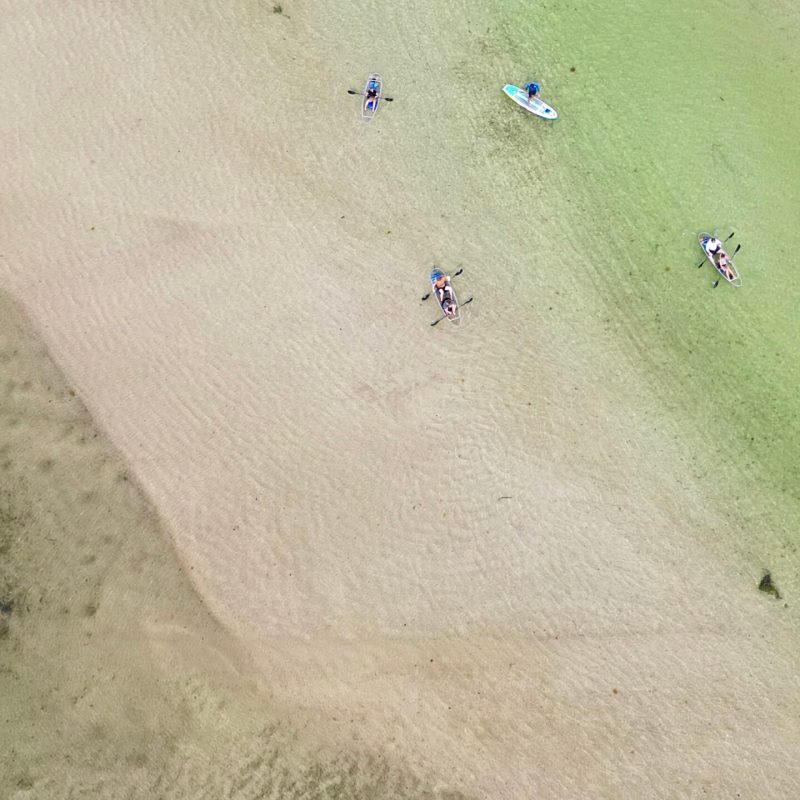 a group of people flying kites in the sand
