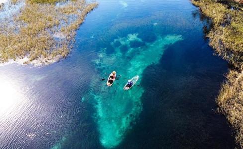 a person swimming in the water