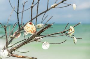 a bird sitting on a tree branch