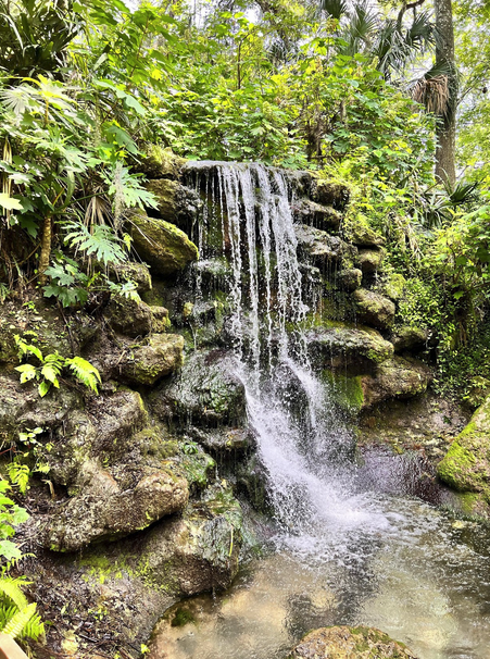 a large waterfall in a forest