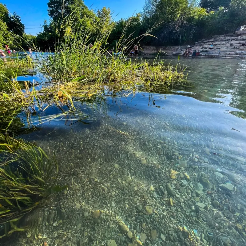 a body of water surrounded by trees