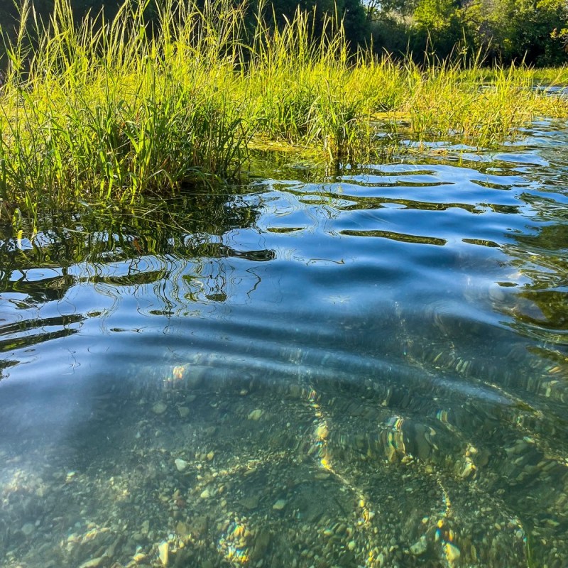 a body of water surrounded by trees