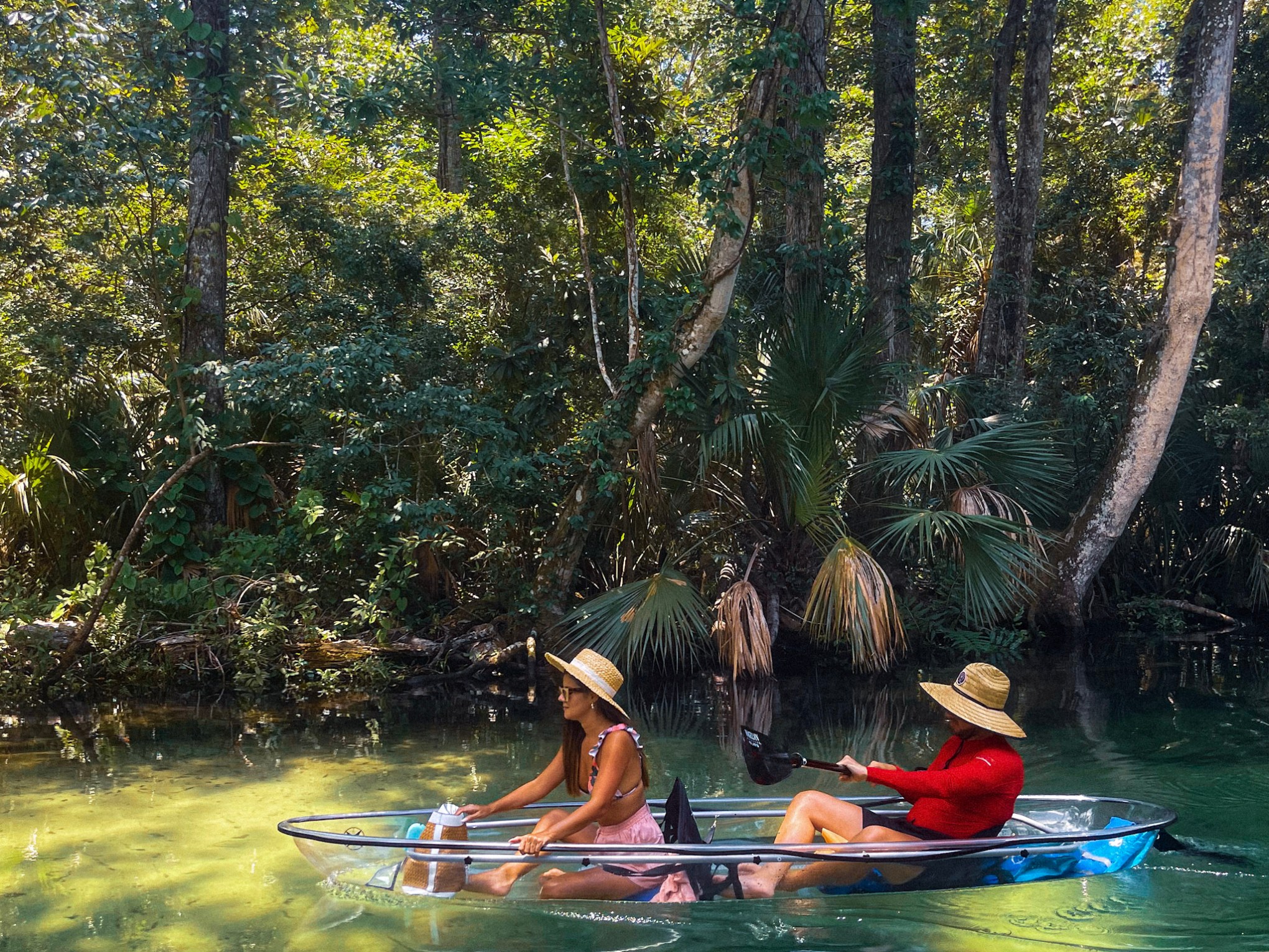 a group of people rowing a boat in the forest