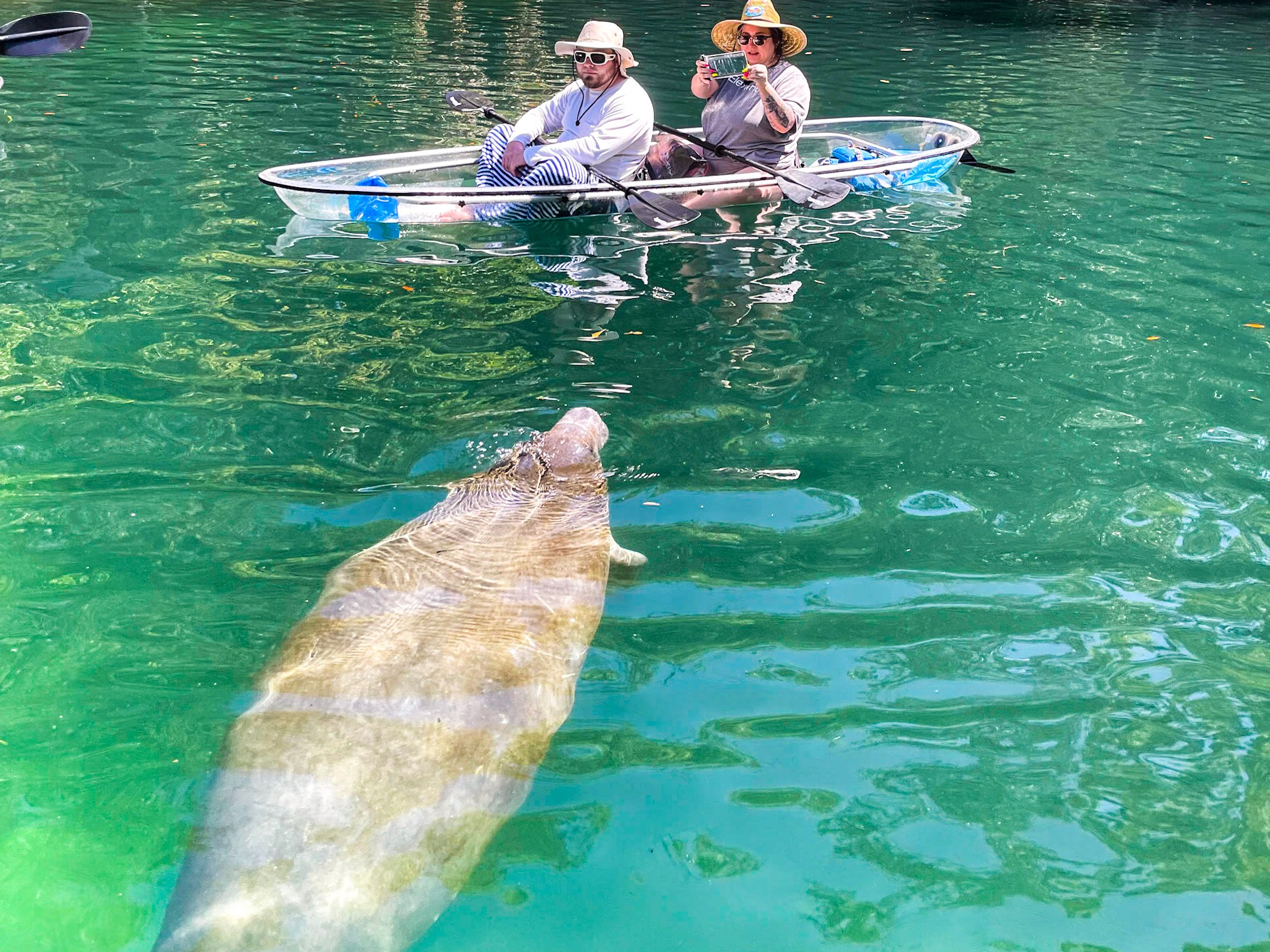 a group of people in a pool of water