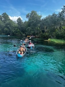 a group of people swimming in a body of water