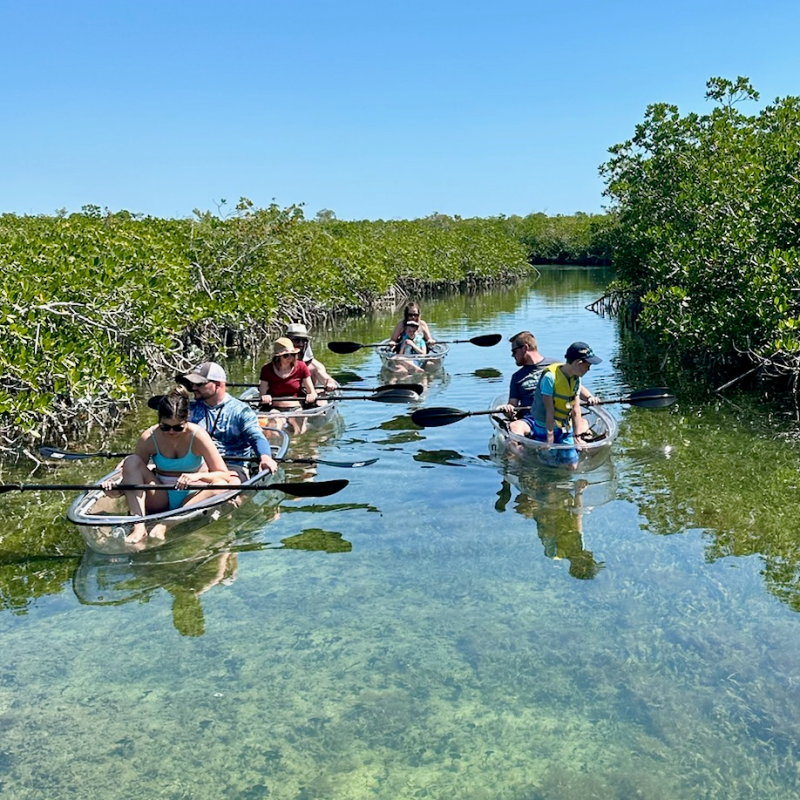 a group of people rowing a boat in the water