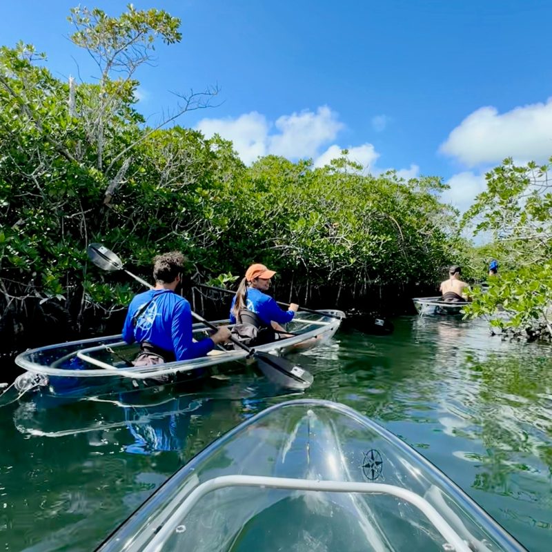 a group of people riding on the back of a boat in the water