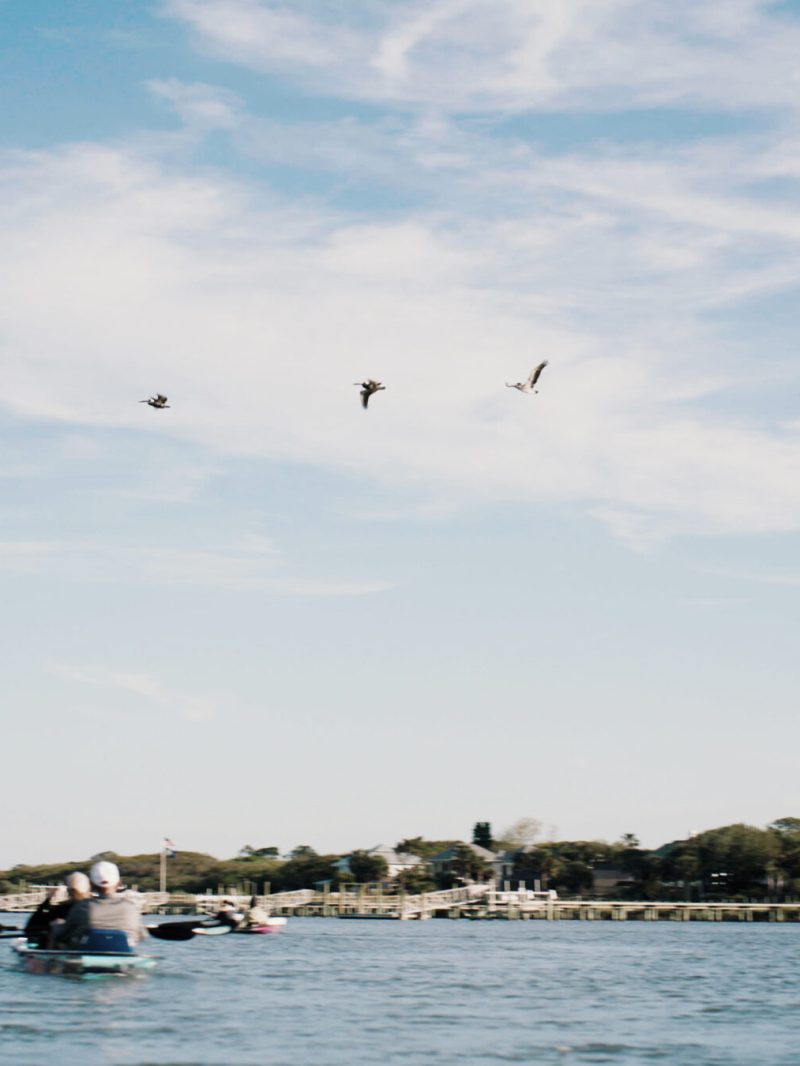 a group of people flying kites in a body of water