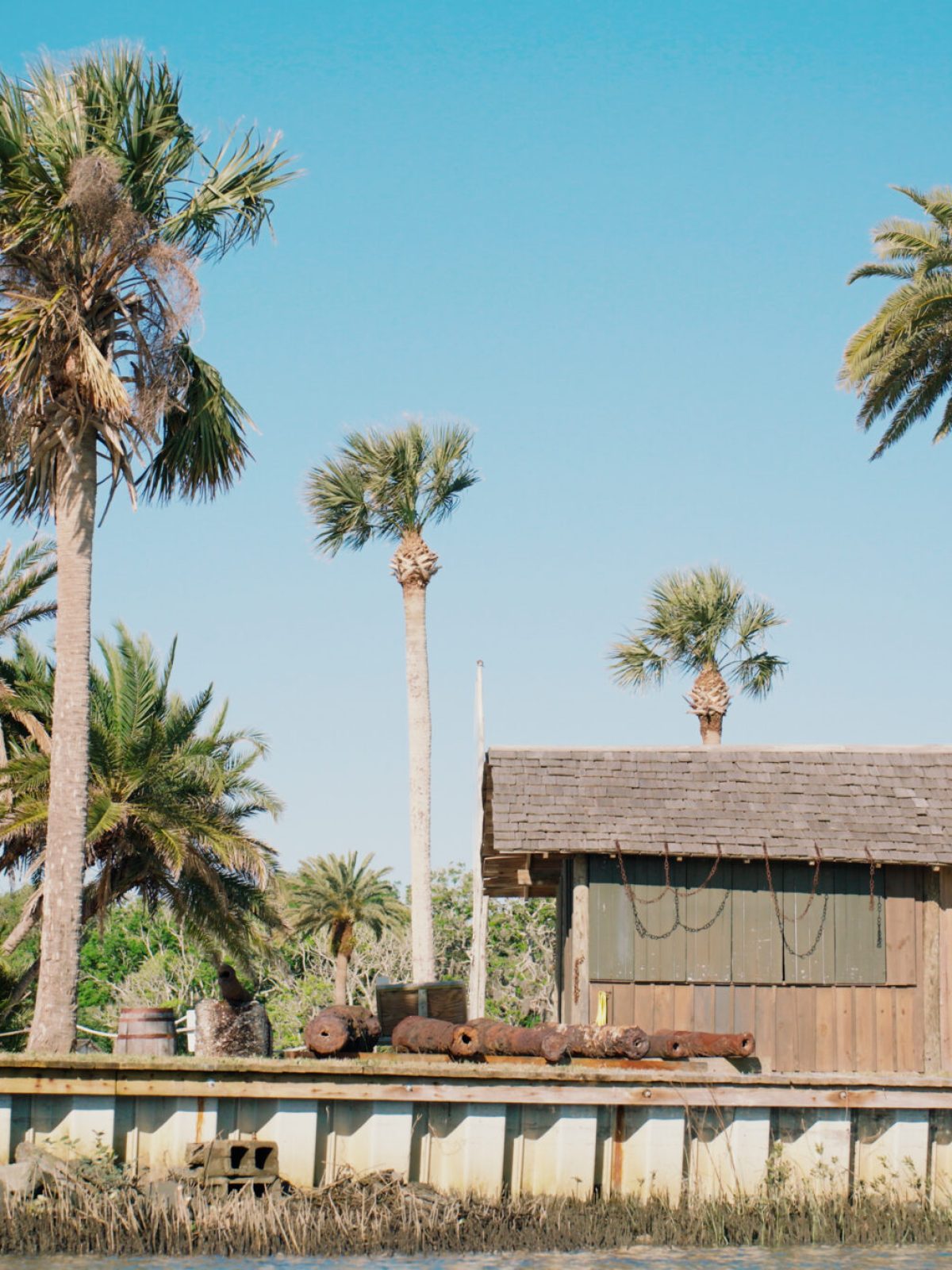 a group of palm trees with a building in the background