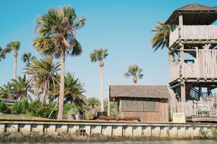 a group of palm trees with a building in the background