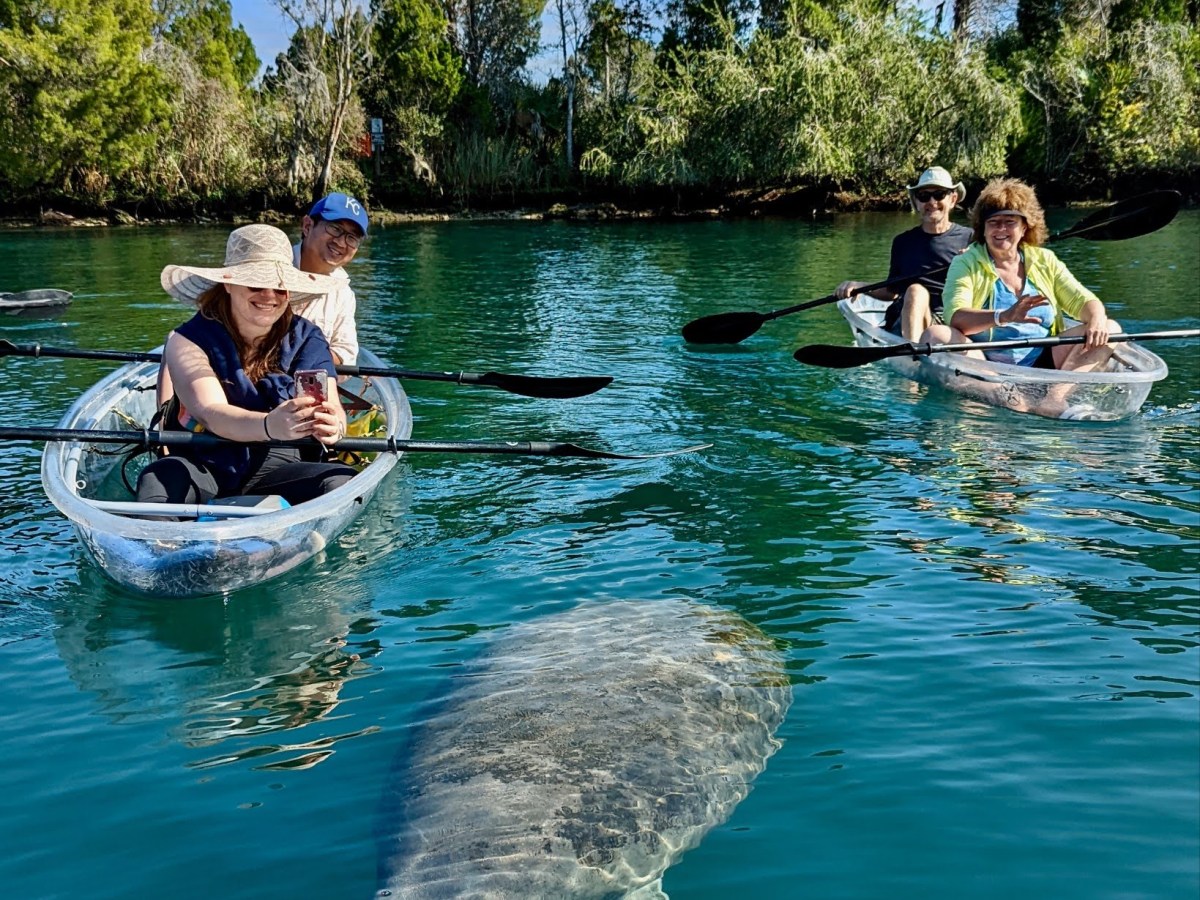 a group of people in a pool of water