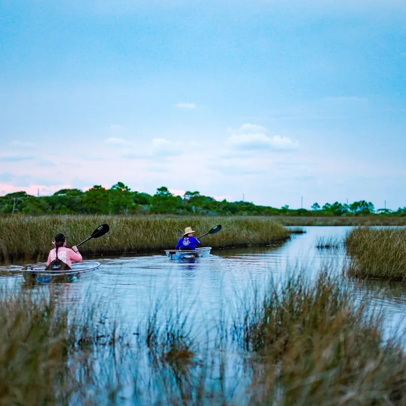 a group of people in a body of water