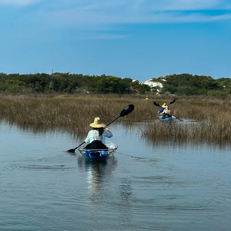 a group of people rowing a boat in a body of water