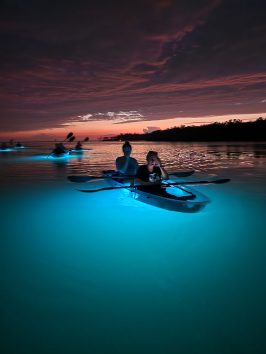 a group of people swimming in a body of water