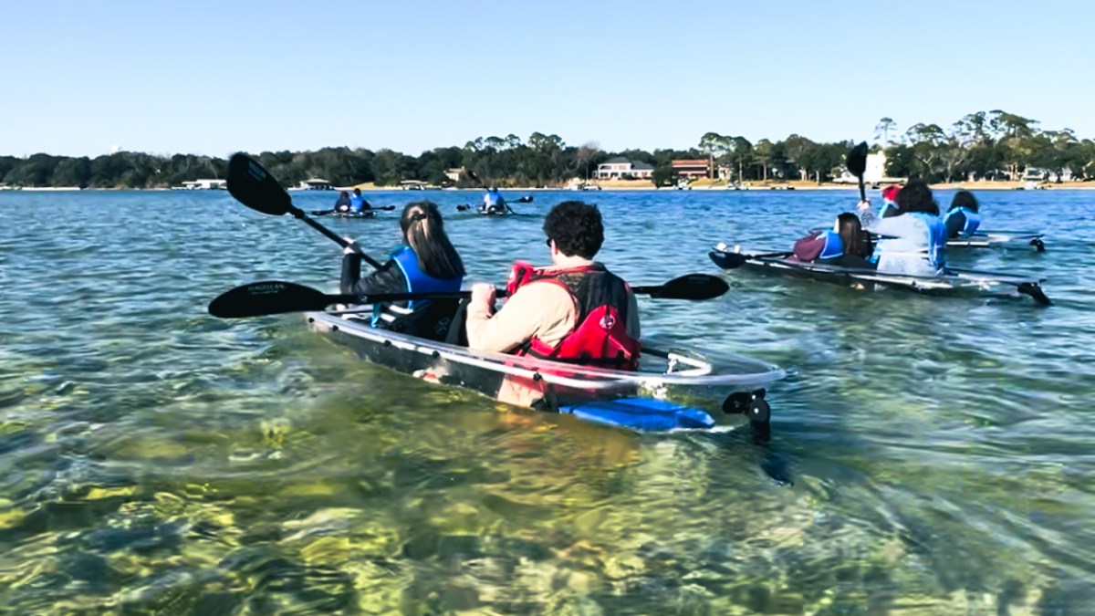 a group of people rowing a boat in a body of water
