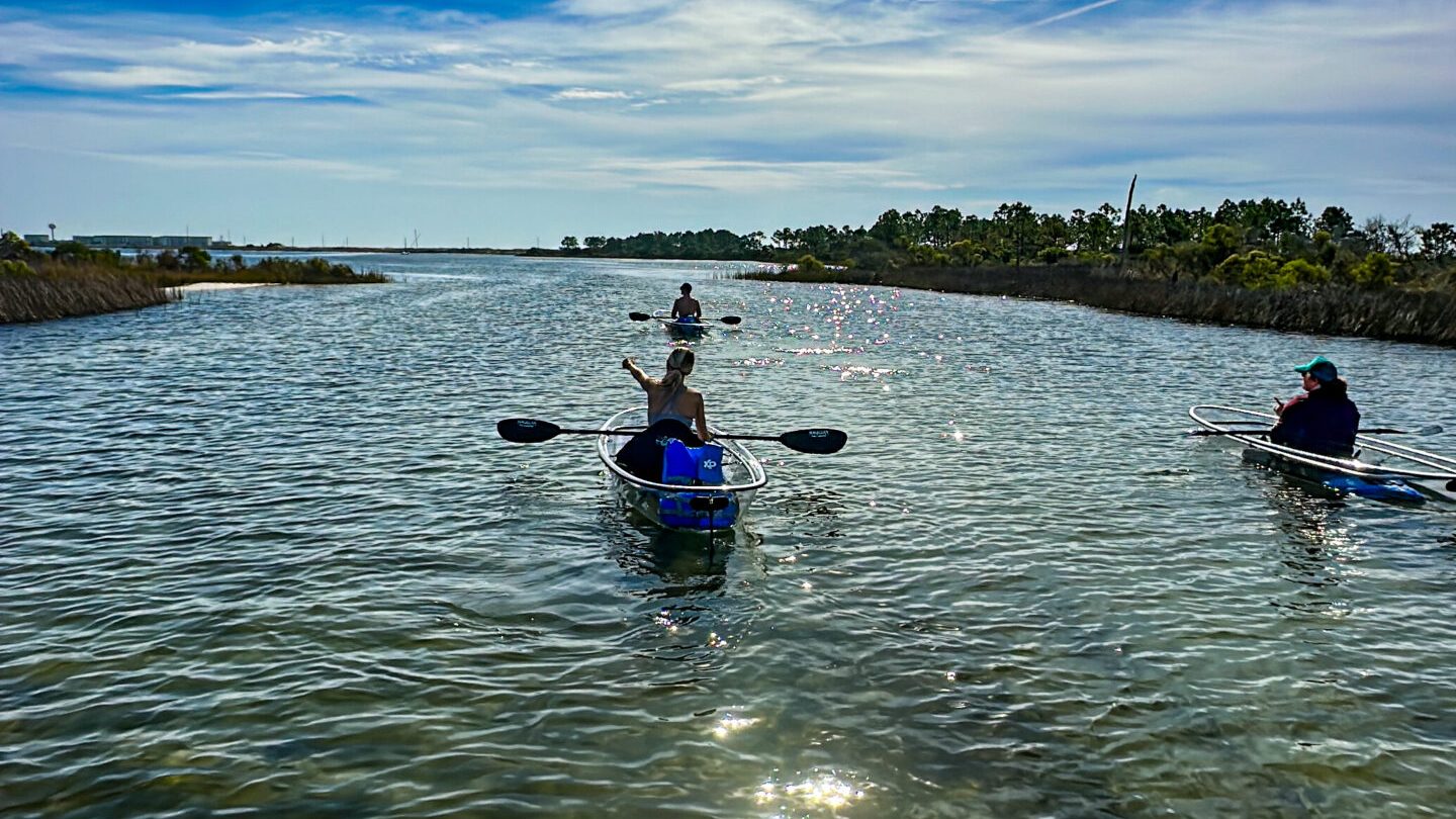 a group of people swimming in a body of water