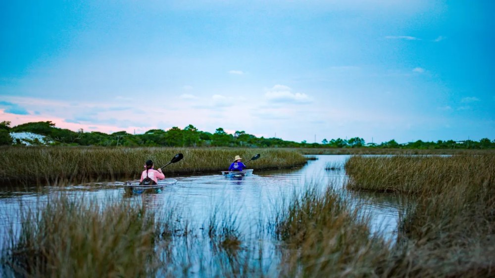 a group of people in a body of water