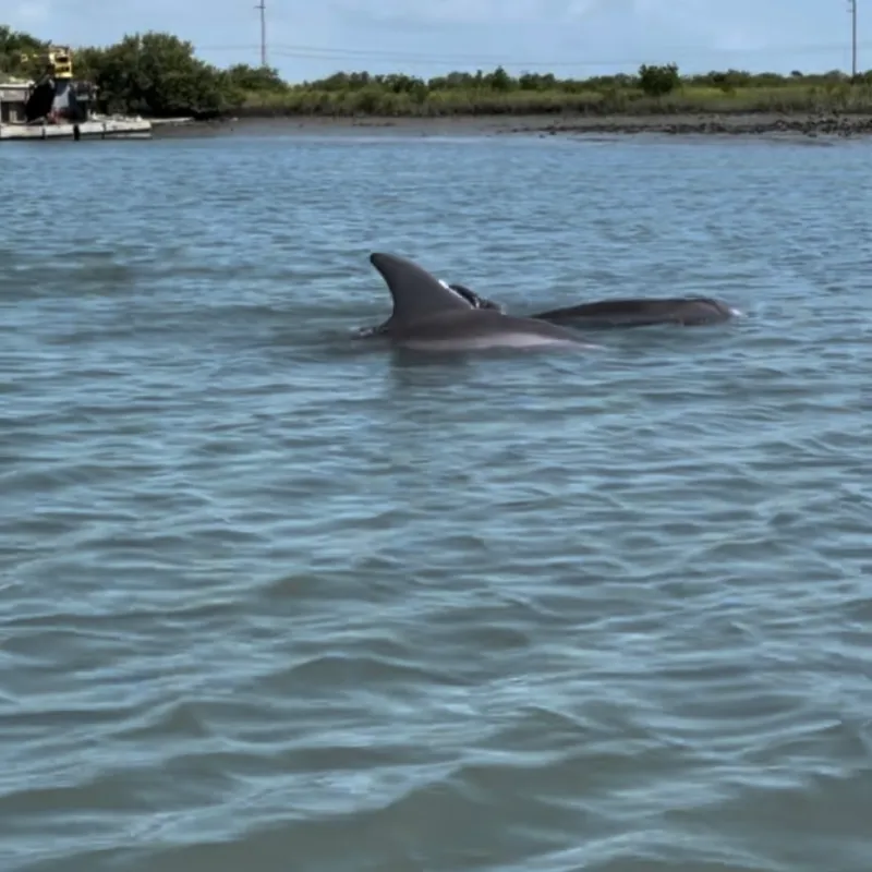 a small boat in a body of water