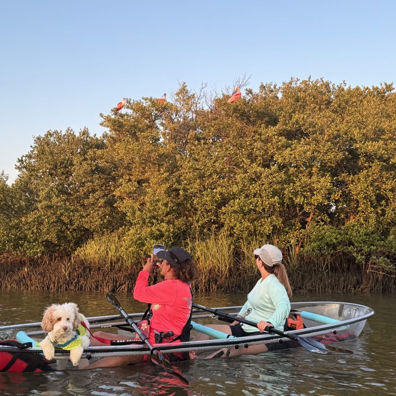 a group of people rowing a boat in the water