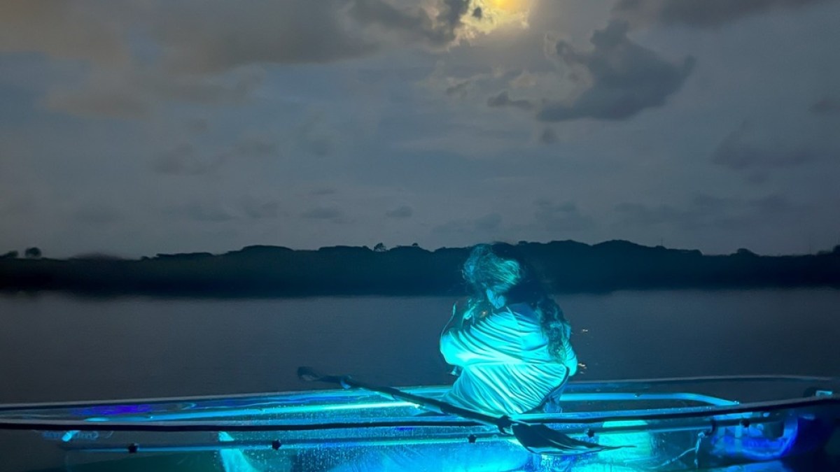 a blue and white boat sitting next to a body of water