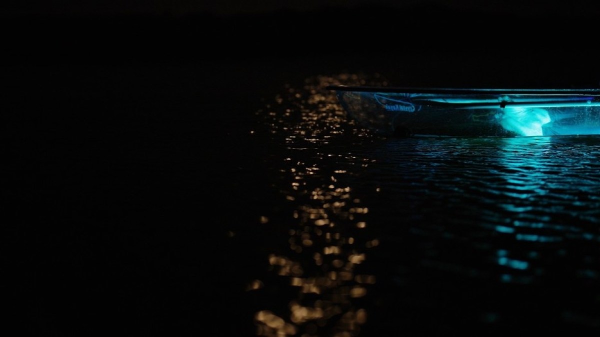 a very dark water