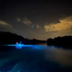 a blurry photo of a large body of water