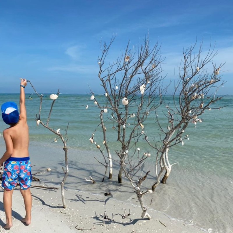 a person standing on a beach near a body of water