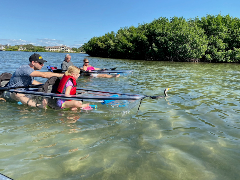 a group of people rowing a boat in the water