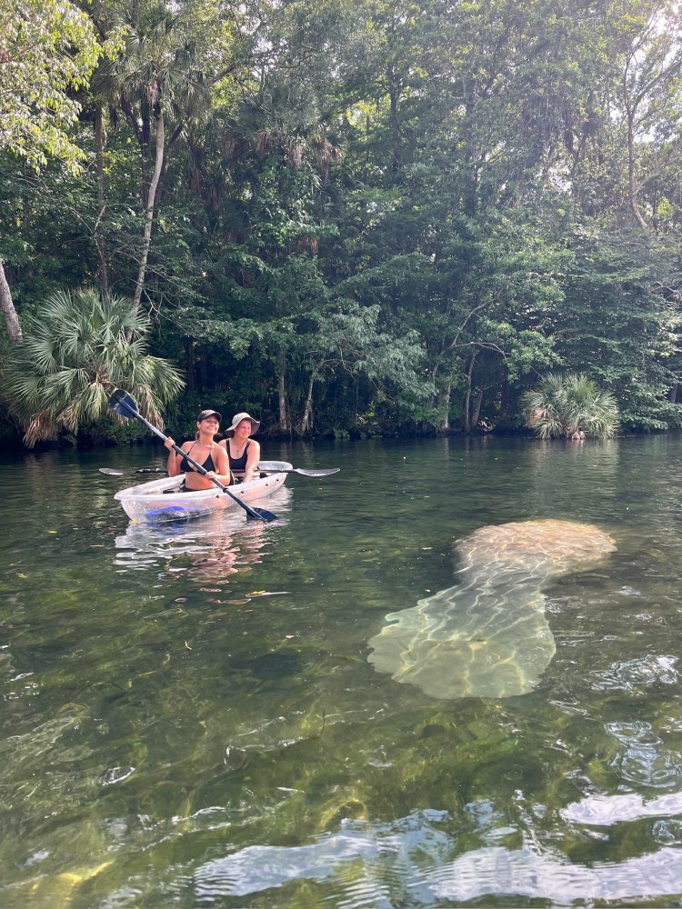 a person riding on the back of a boat next to a lake