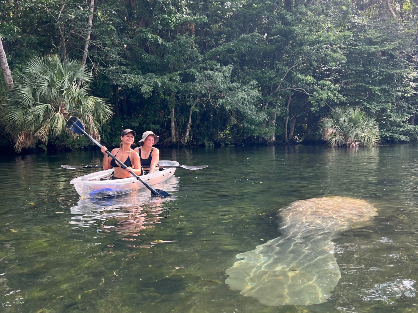 a person riding on the back of a boat next to a lake
