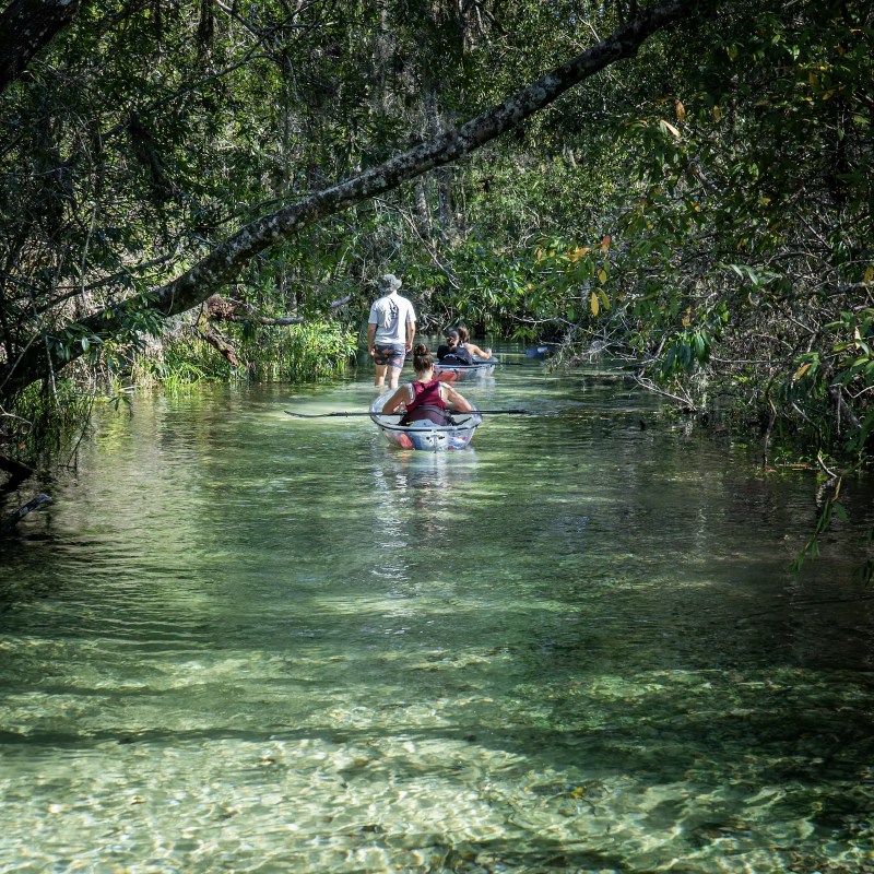 a person riding on the back of a boat next to a river